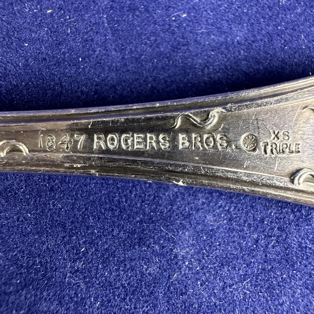 1847 Rogers/International VINTAGE Grape Silverplate Serving Spoon Fork & Spoon
